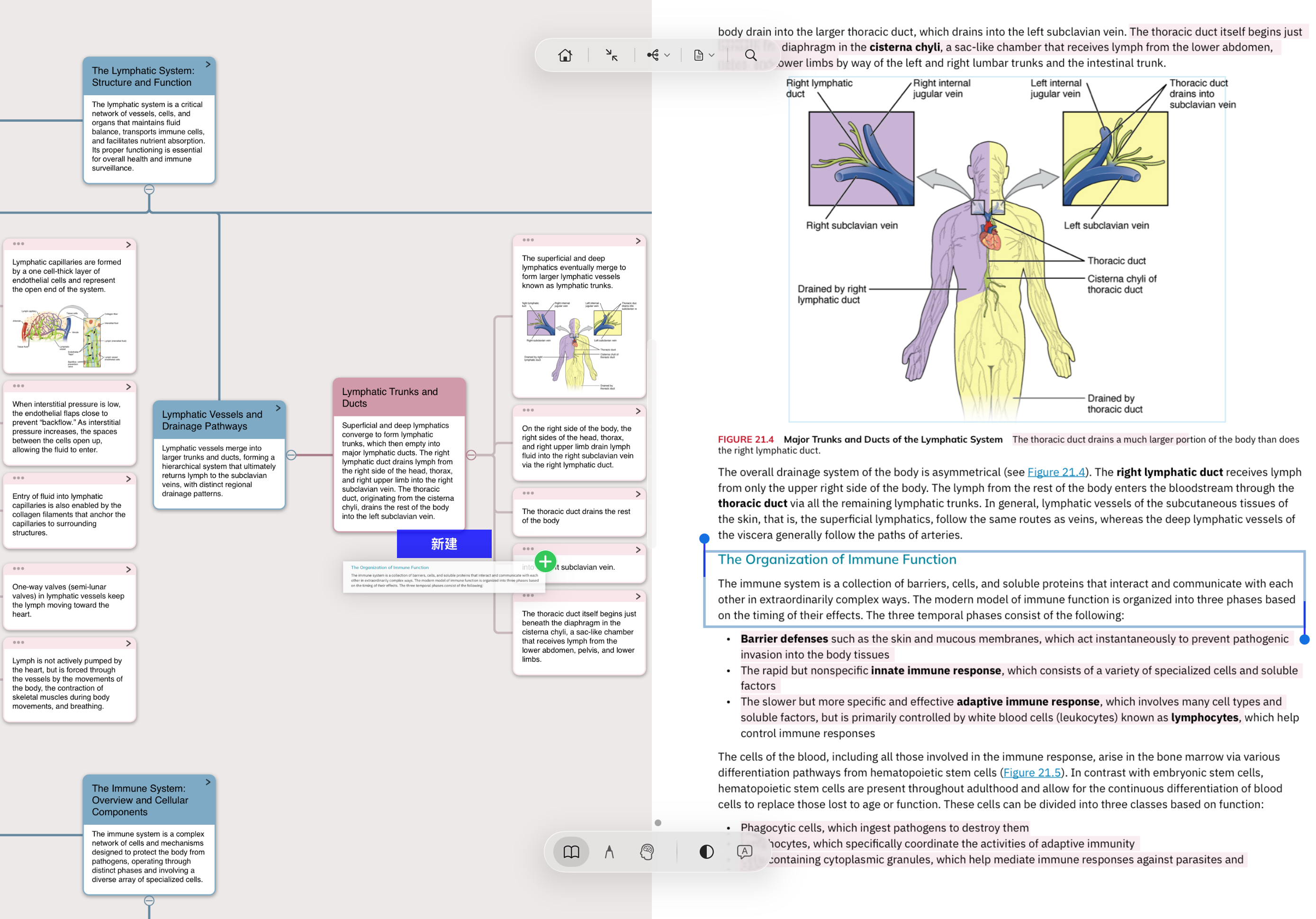 MarginNote 实际界面：左侧免疫系统脑图卡片，右侧 Robbins 病理学 PDF 高亮（barrier defenses / adaptive immune response 蓝色标记），高亮的内容自动成为左侧卡片